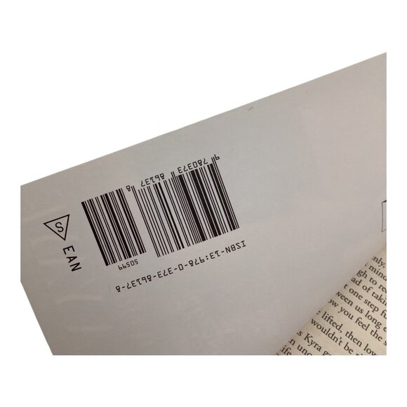 Passion Overtime By Pamela Yaye 2009 Kimani Romance Paperback - Picture 5 of 11